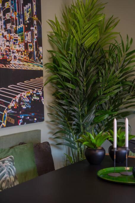 Super Anadia - Olive Apartment