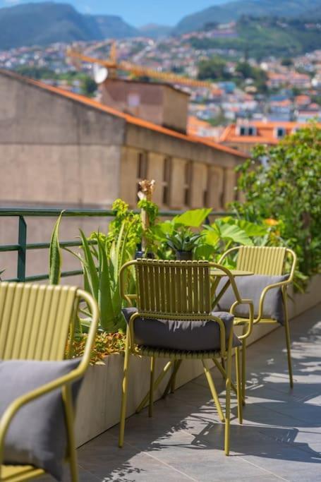 Apartment Super Anadia - Olive Funchal (Madeira)